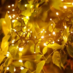 Aigostar Led Lichtsnoer - Lichtslinger - Led Lampjes Slinger - 7,5 Watt - 500 Leds - 10M - Warm Wit - Ip44 New