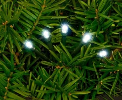 Anna's Collection Kerstverlichting - Helder Wit - 80 Leds - 8M - Dimmer-Timer Sale