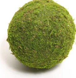 HBX Deco Kerststukjes>Bal Mos Asia O15Cm