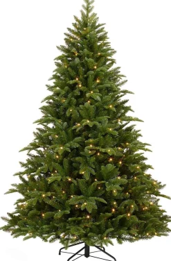Black Box Bolton Kerstboom Met Warmwit Led Groen 320 Lampjes Tips 2980 Maat In Cm: 230 X 145 - Groen Fashion
