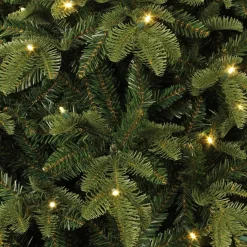 Black Box Bolton Kerstboom Met Warmwit Led Groen 320 Lampjes Tips 2980 Maat In Cm: 230 X 145 - Groen Fashion
