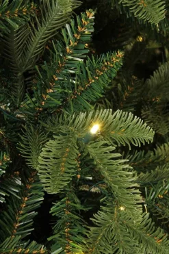 Black Box Bolton Kerstboom Met Warmwit Led Groen 320 Lampjes Tips 2980 Maat In Cm: 230 X 145 - Groen Fashion