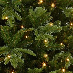 Black Box Bolton Kerstboom Met Warmwit Led Groen 320 Lampjes Tips 2980 Maat In Cm: 230 X 145 - Groen Fashion