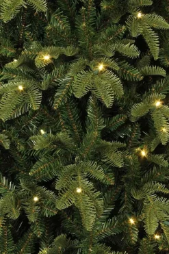 Black Box Bolton Kerstboom Met Warmwit Led Groen 320 Lampjes Tips 2980 Maat In Cm: 230 X 145 - Groen Fashion