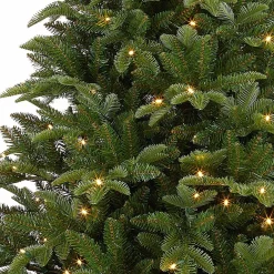Black Box Bolton Kerstboom Met Warmwit Led Groen 320 Lampjes Tips 2980 Maat In Cm: 230 X 145 - Groen Fashion