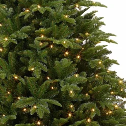 Black Box Bolton Kerstboom Met Warmwit Led Groen 320 Lampjes Tips 2980 Maat In Cm: 230 X 145 - Groen Fashion