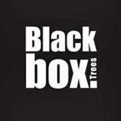 Black Box Bolton Kerstboom Met Warmwit Led Groen 320 Lampjes Tips 2980 Maat In Cm: 230 X 145 - Groen Fashion