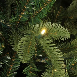 Black Box Bolton Kerstboom Met Warmwit Led Groen 320 Lampjes Tips 2980 Maat In Cm: 230 X 145 - Groen Fashion