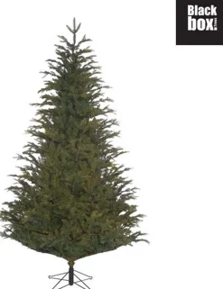 Black Box Frasier Fir Kunstkerstboom - 230 X 147 - Groen Store