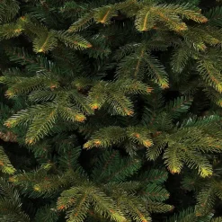 Black Box Frasier Fir Kunstkerstboom - 230 X 147 - Groen Store