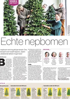 Black Box Frasier Fir Kunstkerstboom - 230 X 147 - Groen Store