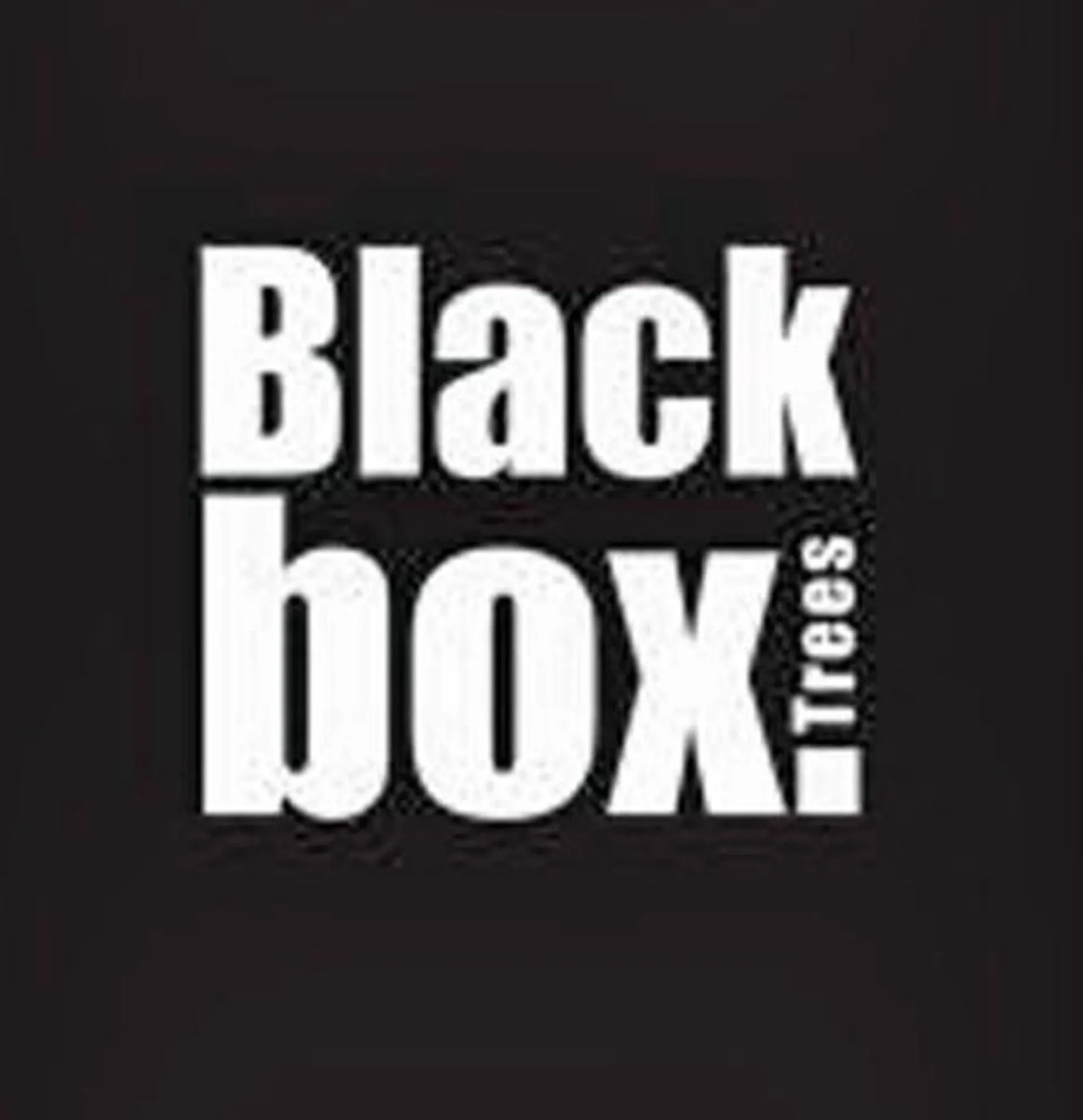 Black Box Frosted Stelton Kerstboom - Groen Incl. Led Lampjes 155 Cm Best