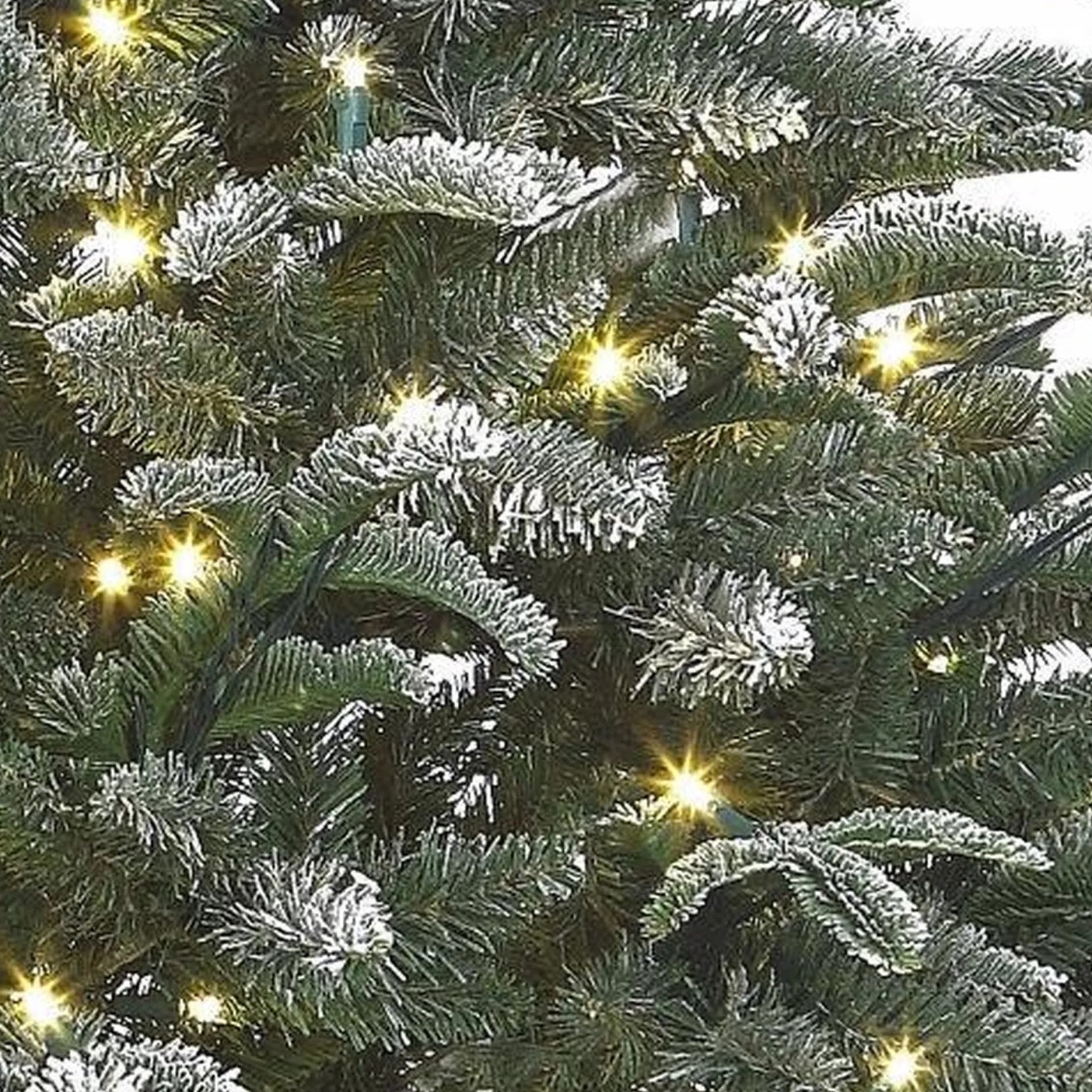 Black Box Frosted Stelton Kerstboom - Groen Incl. Led Lampjes 155 Cm Best