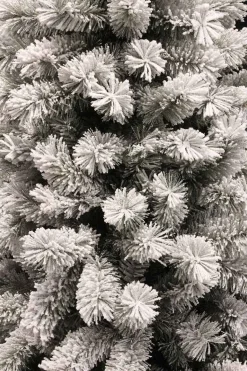 Black Box Kunstkerstboom Medford Maat In Cm: 185 X 99 Besneeuwd Groen - Besneeuwd Groen Store