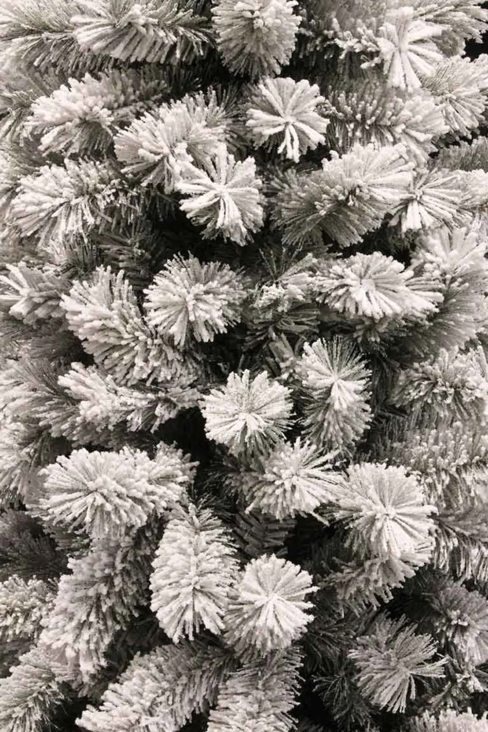 Black Box Kunstkerstboom Medford Maat In Cm: 185 X 99 Besneeuwd Groen - Besneeuwd Groen Store