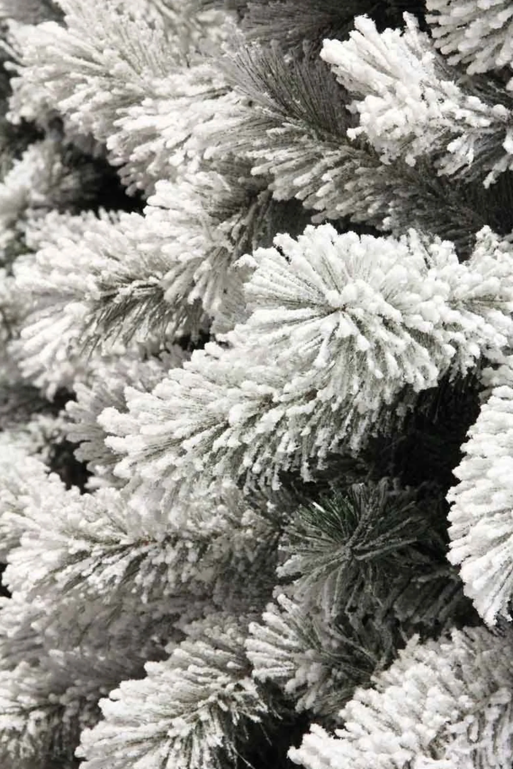 Black Box Kunstkerstboom Medford Maat In Cm: 185 X 99 Besneeuwd Groen - Besneeuwd Groen Store