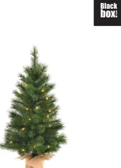 Black Box Trees - Lawson Kerstboom Met Burlap Led Werkt Op Batterijen Groen 40L Tips 102 - H90Xd48Cm - Kerstbomen Shop