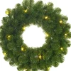 Black Box Kerstkransen> Trees - Norton Krans Led Werkt Op Batterijen Groen 20L Tips 90 - D45Cm - Kerstbomen