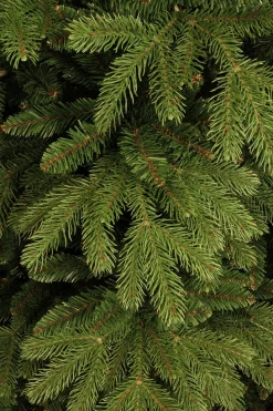 Black Box Trees Brampton Kunstkerstboom - H215 Cm - Groen Cheap