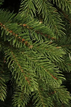 Black Box Trees Brampton Kunstkerstboom - H215 Cm - Groen Cheap