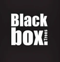 Black Box Trees Brampton Kunstkerstboom - H215 Cm - Groen Cheap