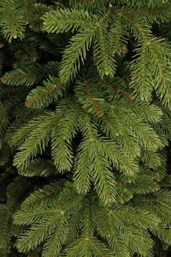 Black Box Trees Brampton Kunstkerstboom - H230 Cm - Groen Best