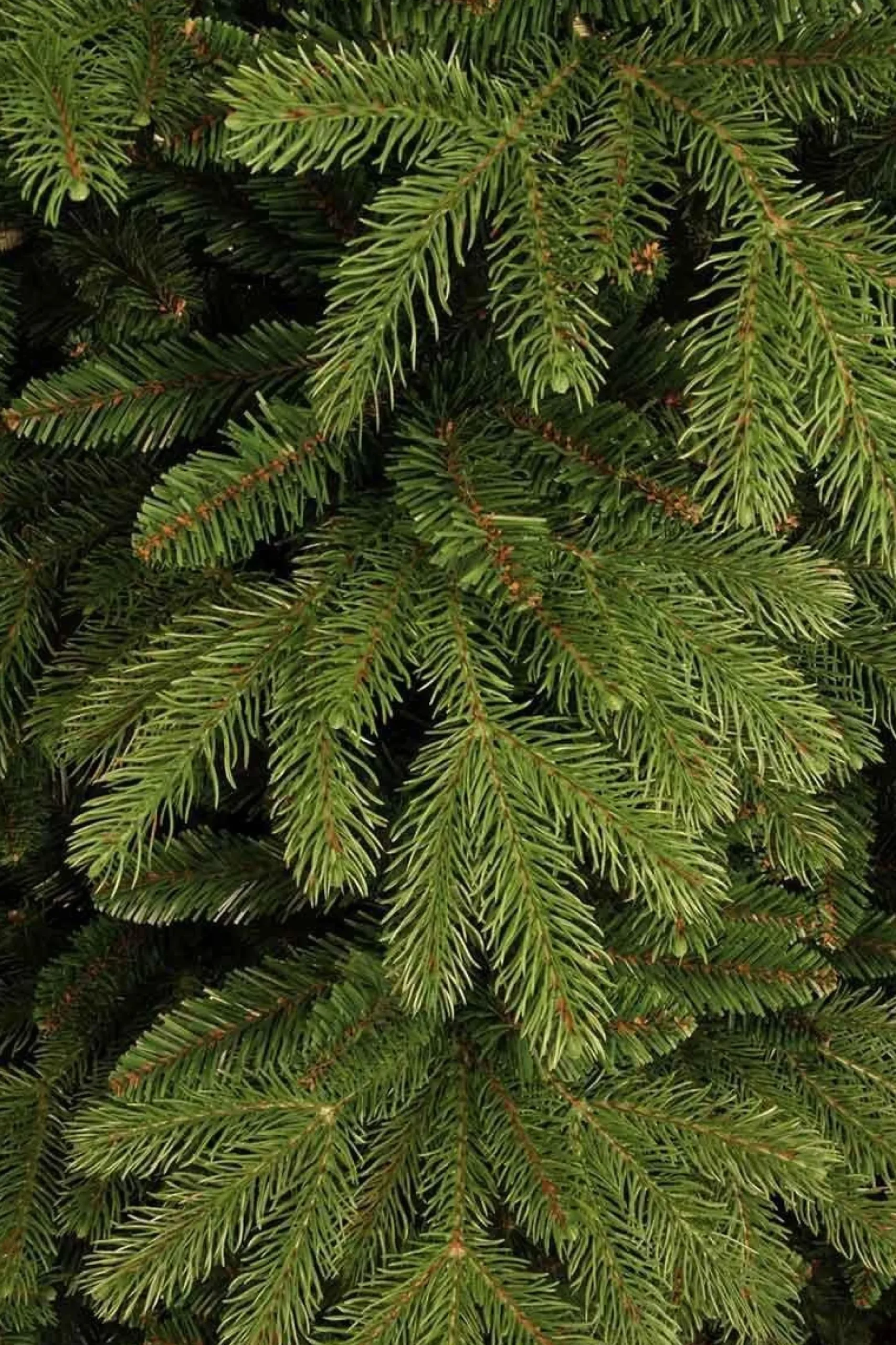 Black Box Trees Brampton Kunstkerstboom - H230 Cm - Groen Best