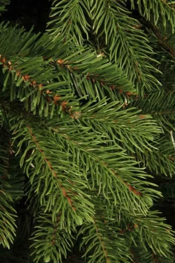 Black Box Trees Brampton Kunstkerstboom - H230 Cm - Groen Best