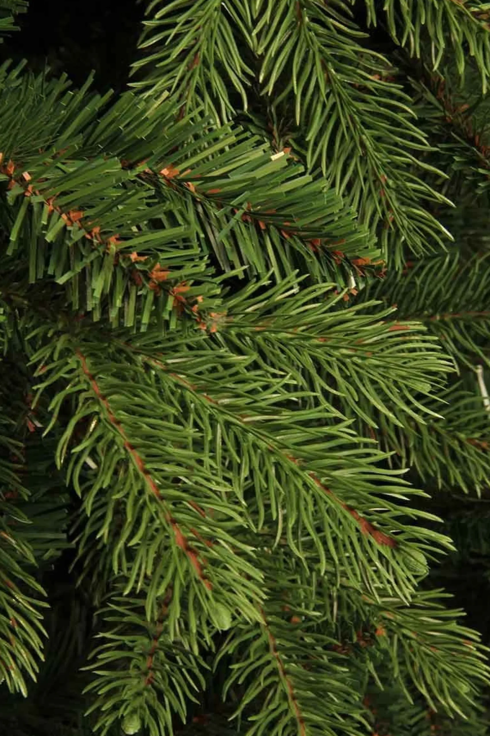 Black Box Trees Brampton Kunstkerstboom - H230 Cm - Groen Best