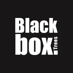 Black Box Trees Charlton Kunstkerstboom Met Led Verlichting - H155 Cm - Groen Best