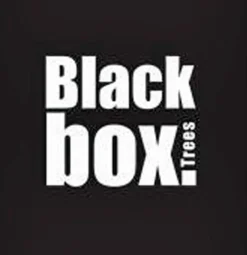 Black Box Trees Charlton Kunstkerstboom - H185 Cm Online