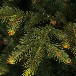 Black Box Trees Frasier Kunstkerstboom Met Led Verlichting - H185 Cm - Groen Cheap