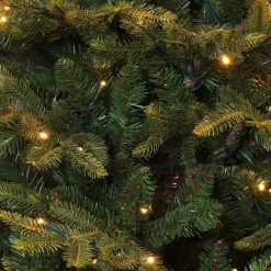 Black Box Trees Frasier Kunstkerstboom Met Led Verlichting - H185 Cm - Groen Cheap