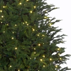Black Box Trees Frasier Kunstkerstboom Met Led Verlichting - H185 Cm - Groen Cheap