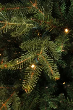 Black Box Trees Frasier Kunstkerstboom Met Led Verlichting - H185 Cm - Groen Cheap