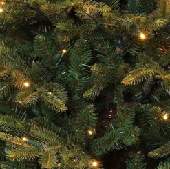 Black Box Trees Frasier Kunstkerstboom Met Led Verlichting - H185 Cm - Groen Cheap