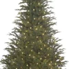Black Box Trees Frasier Kunstkerstboom Met Led Verlichting - H215 Cm - Groen Fashion