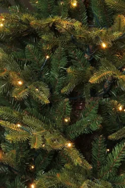 Black Box Trees Frasier Kunstkerstboom Met Led Verlichting - H215 Cm - Groen Cheap