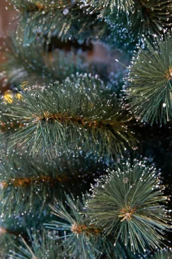 Black Box Guirlandes><noscript><img width=