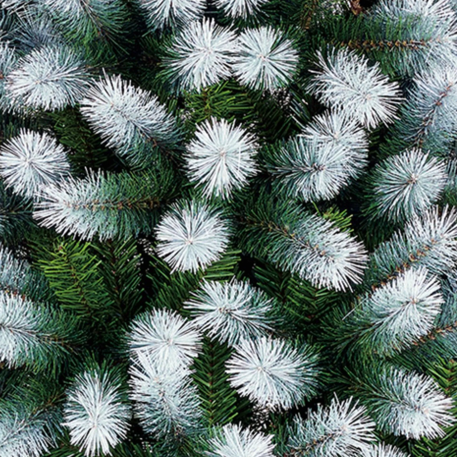 Black Box Trees Kingston Kerstboom Led Frosted Groen - Kunstgroen - 215X117 Cm Clearance