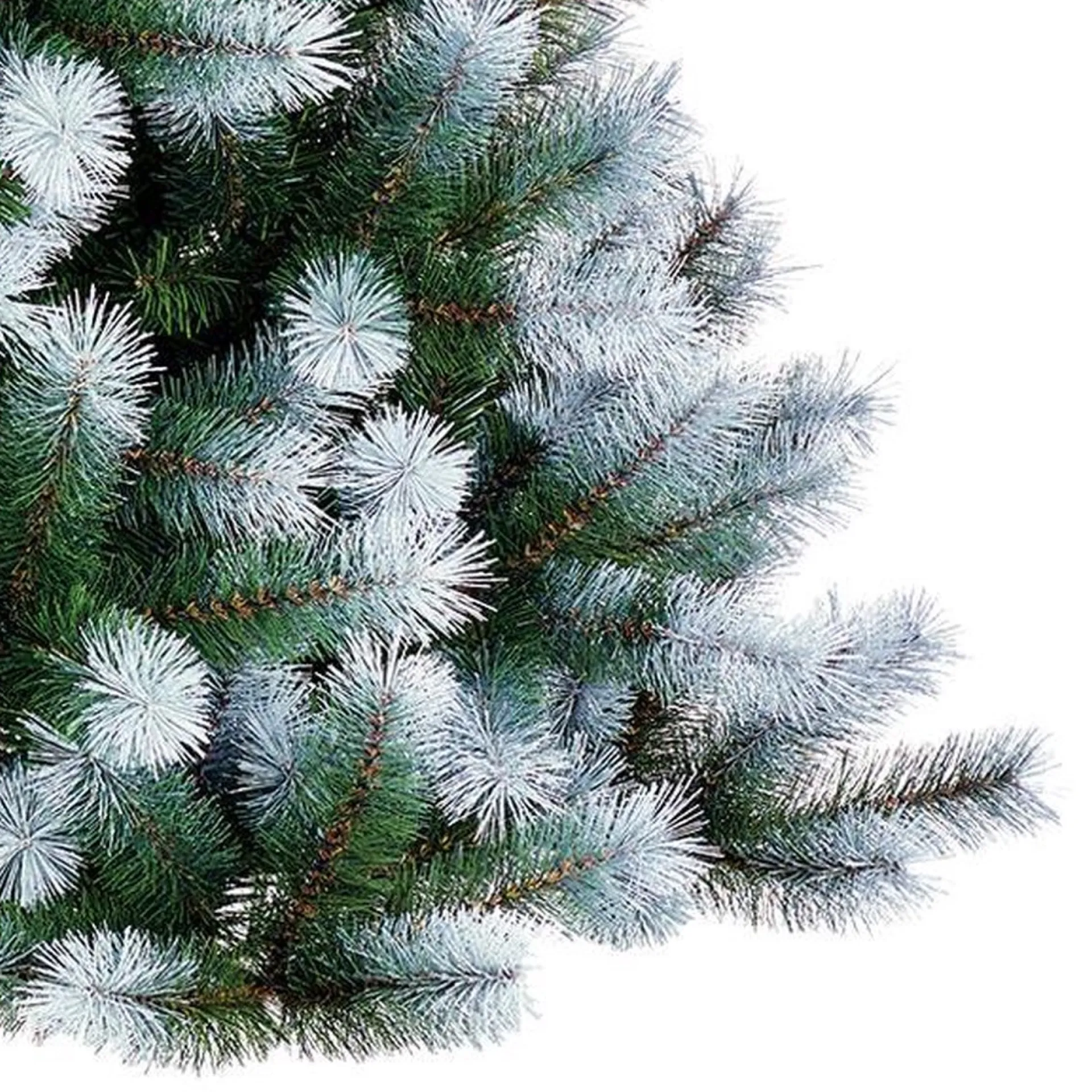Black Box Trees Kingston Kunstkerstboom - H120 Cm - Frosted Green Cheap