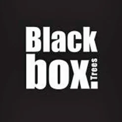 Black Box Trees Millington Kunstkerstboom - H120 Cm - Frosted Green Flash Sale