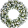 Black Box Kerstkransen> Trees Norton Kerstkrans Met Led Verlichting - O60 Cm - Frosted Green