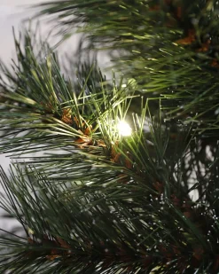 Black Box Trees Sotka Kunstkerstboom Met Led Verlichting - H215 X O71 Cm - Groen Best Sale