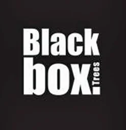 Black Box Trees Toronto Kunstkerstboom - H215 Cm - Groen Sale