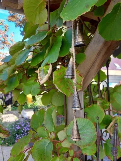 Brynxz Kersthanger><noscript><img width=