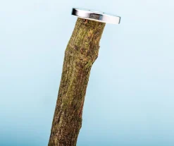 Bubblegum Stuff Kerstbeelden><noscript><img width=