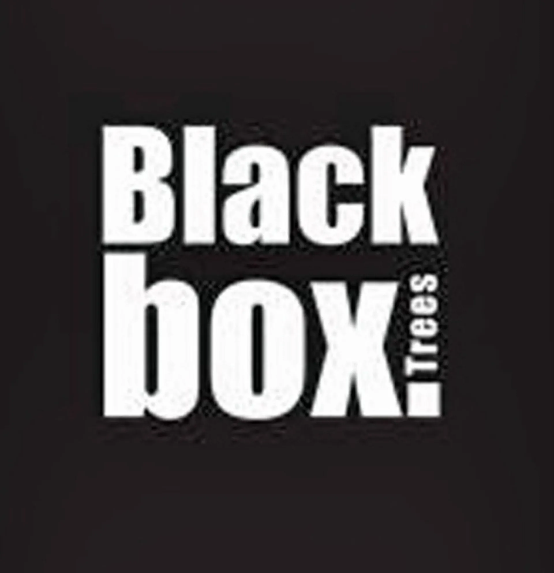 Merkloos Chir Pine - Groen - Blackbox Kunstkerstboom Best