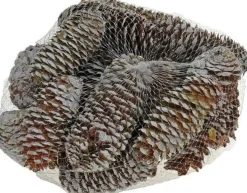 Merkloos Kerststukjes>Decoratie Dennenappels Bruin/Sneeuw 8 Cm