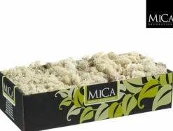Mica Decorations Kerststukjes>Decoratie/Hobby Mos Naturel/Wit 500 Gram - Decoratie Materialen Bloemstukjes